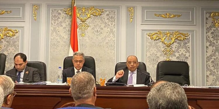 شعراوي يعرض موقف تقنين أراضي