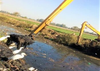 رفع مخلفات ضمن حملة صفط تراب بداية الطريق لقرى مصرية مستدامة