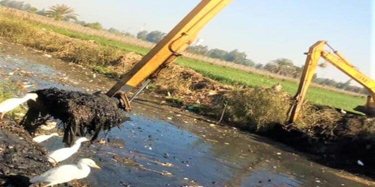 رفع مخلفات ضمن حملة صفط تراب بداية الطريق لقرى مصرية مستدامة