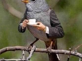 إحساس.. غريب