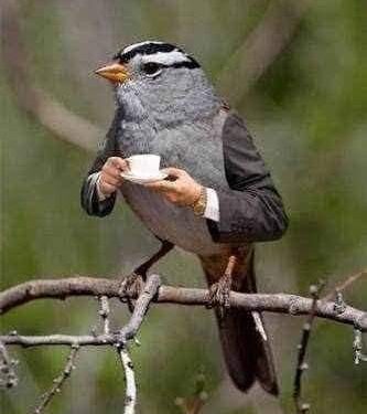 إحساس.. غريب