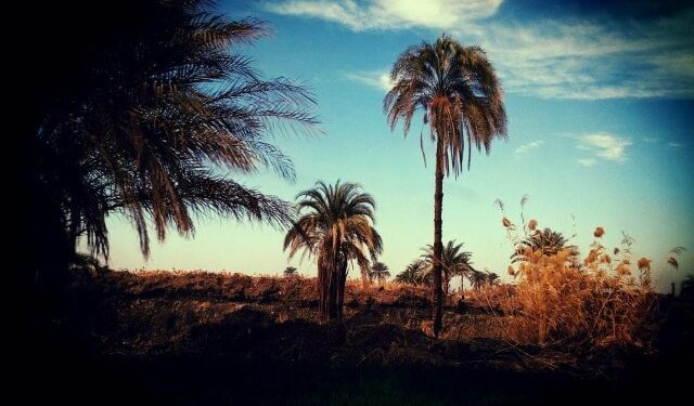 االمصرية الروسية تعلن عن الطلاب الفائزين فى مسابقة التصوير الفوتوغرافى