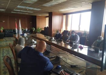 دكتور عبد العاطى