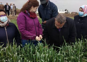 جولات ميدانية