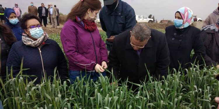 جولات ميدانية