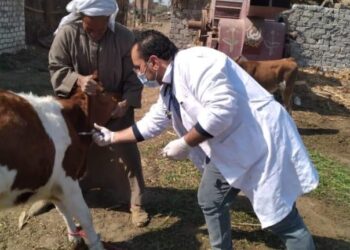 تحصين 52 ألف