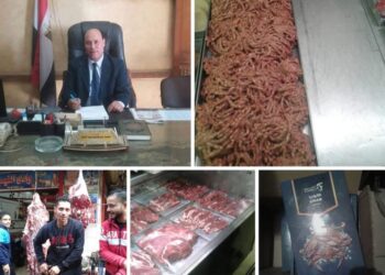 أبو هاشم ومطاردة قوية للصوص الدعم وضبط كمية لحوم فاسدة بمركز طنطا