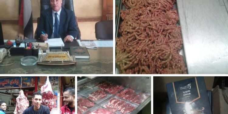 أبو هاشم ومطاردة قوية للصوص الدعم وضبط كمية لحوم فاسدة بمركز طنطا