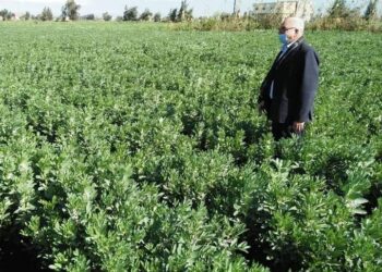 رئيس قطاع الخدمات بوزارة الزراعة .. استكمال صرف الأسمدة الشتوية بعد المعاينة على الطبيعة