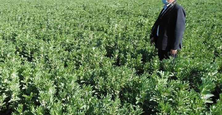 رئيس قطاع الخدمات بوزارة الزراعة .. استكمال صرف الأسمدة الشتوية بعد المعاينة على الطبيعة