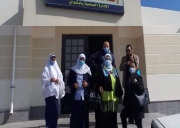 مدير الإدارة الصحية بابشواى تتفقد العمل في وحدة « منشأة هويدى »