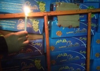 ضبط ٤٩ طن ١٥٠كجم زبيب مضاف إليه لون صناعي وغير صالح الاستهلاك الآدمي بمركز زفتى والسنطة غربية