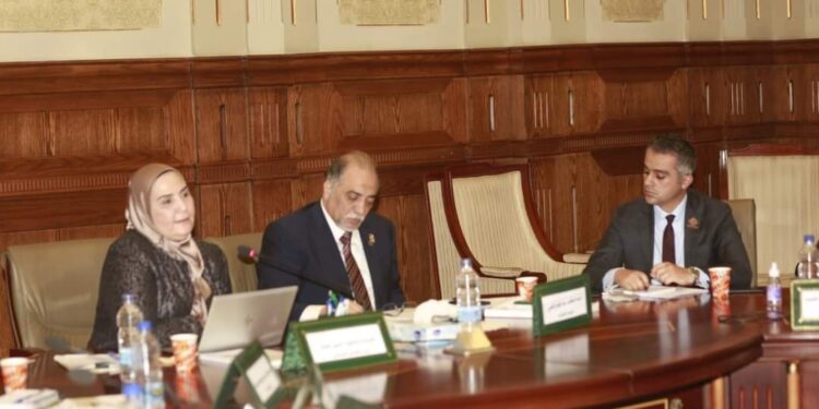 وزارة التضامن ميكنة جميع المكاتب مع تيسير الإجراءات لذوي الإعاقة