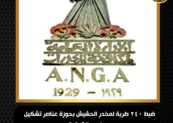 ضبط حائزى ومتجرى المواد المخدرة والأسلحة النارية بالغربيه