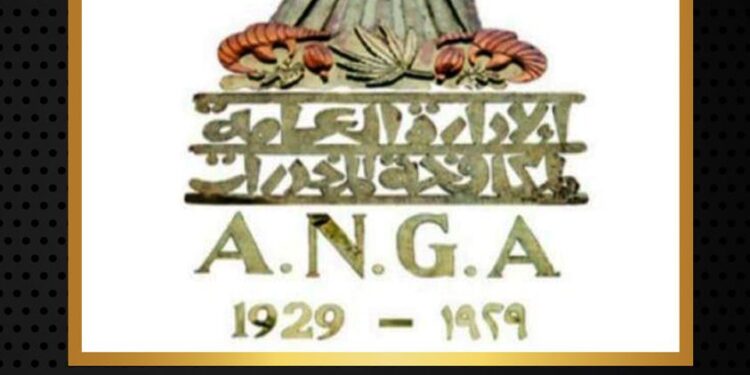 ضبط حائزى ومتجرى المواد المخدرة والأسلحة النارية بالغربيه