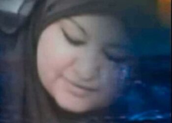 أنثي ----- العنكبوت