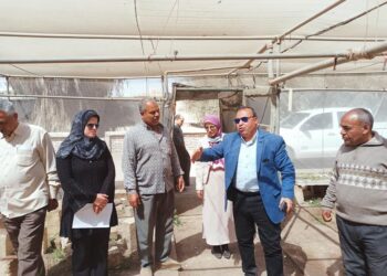 جولة ميدانية لوكيل زراعة الفيوم