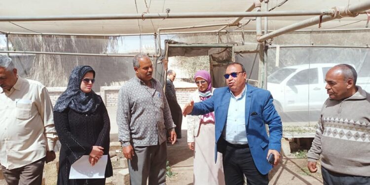 جولة ميدانية لوكيل زراعة الفيوم