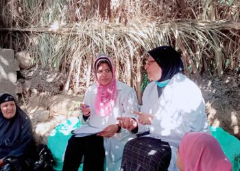 ورشة عمل عن النقاط الهامة للوصول إلى لبن نظيف بالمدارس الحقليه بابشواي