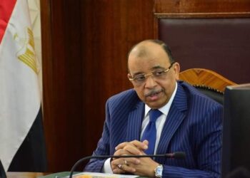 جمل مدينتك تفعيل المبادرات التى يشارك فيها الشباب واستثمار حماسهم