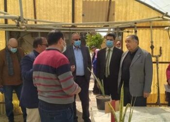 تجديد شهادة