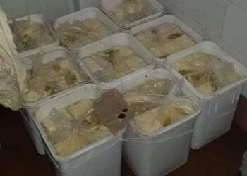 مراقبة الاغذيه