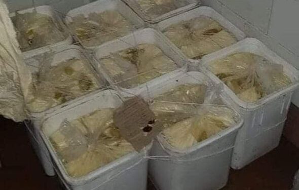 مراقبة الاغذيه