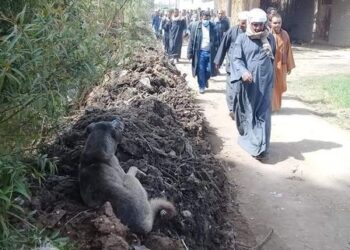 أهالي قرية السليمات