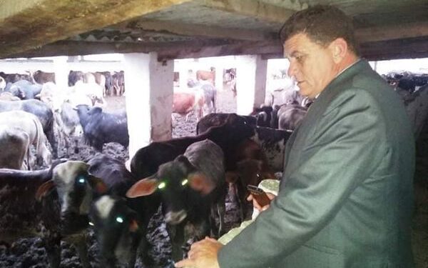 مشروع البتلو