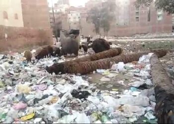 بؤرة قمامة تهدد حياة أهالى شارع عمر بن الخطاب بمنطقة إستاد طنطا