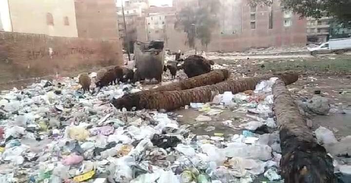 بؤرة قمامة تهدد حياة أهالى شارع عمر بن الخطاب بمنطقة إستاد طنطا