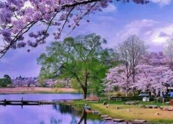 إنظروا كم بنا الله رؤوف رحيم