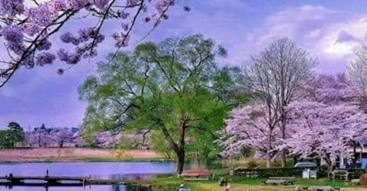 إنظروا كم بنا الله رؤوف رحيم