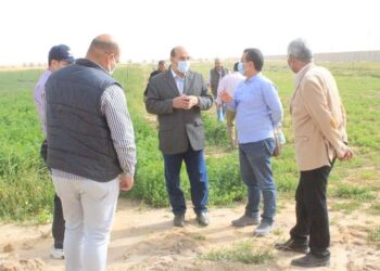 الزراعة: بحوث الصحراء والفاو ينظمان ورش عمل مجتمعية للممارسات الزراعية