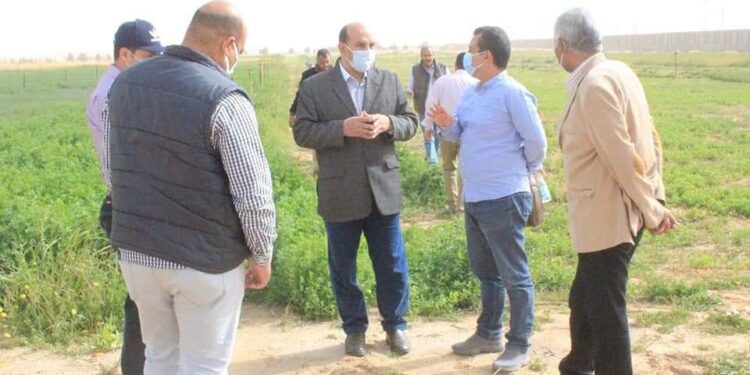 الزراعة: بحوث الصحراء والفاو ينظمان ورش عمل مجتمعية للممارسات الزراعية