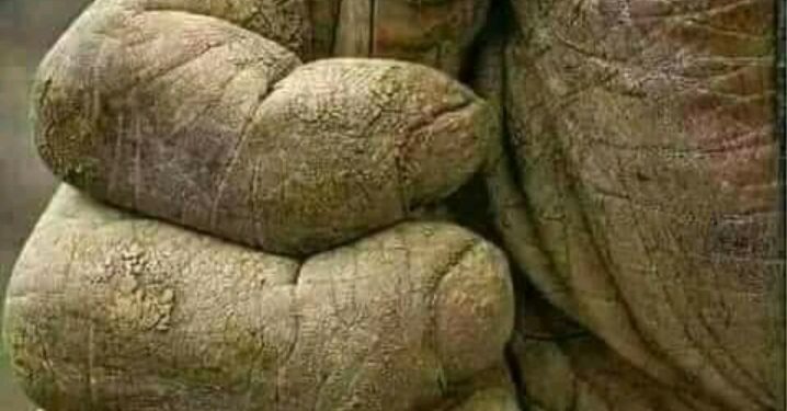 يد تفيض بالخير