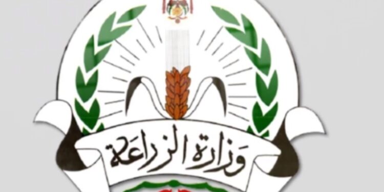 وزير الزراعة تسهيل إجراءات تصدير البطاطس وتشغيل معامل العفن البني 24 ساعه طوال ايام الاسبوع