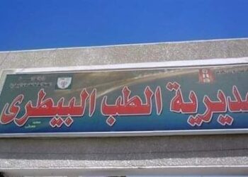 الطب البيطرى بقنا يحصد المركز الأول علي الصعيد فى تحصين الماشية ضد الحمى القلاعية