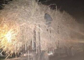 السعي للموت بسبب إهمال شركة الكهرباء