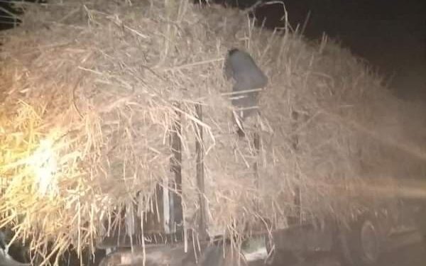 السعي للموت بسبب إهمال شركة الكهرباء