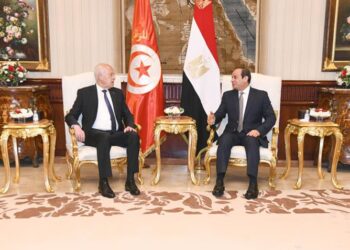 الرئيس عبد الفتاح السيسي يستقبل