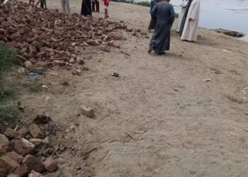 الداودي : لن نسمح بعودة التعديات التى تتم إزالتها مرة أخرى