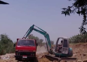 إزالة 90 ٪ من إجمالي الحالات المستهدفة خلال الموجة 17 بقنا