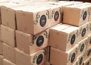 محافظ الغربية وقافلة اجتماعية وندوة إرشادية بنهطاي ضمن مبادرة حياة كريمة