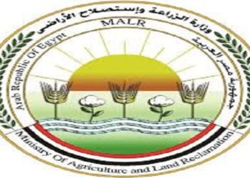 الانتهاء من تبطين