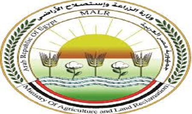 الانتهاء من تبطين