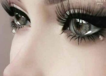 نهاية المشوار