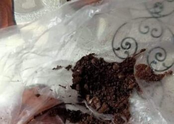 مراسلة حكاية وطن في تجربة مع مشعوذ بقنا