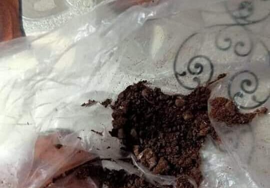 مراسلة حكاية وطن في تجربة مع مشعوذ بقنا