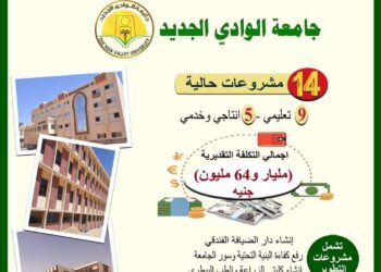 وزير التعليم العالي يستعرض تقريرًا ميدانيًا لمتابعة مشروعات جامعة الوادي الجديد